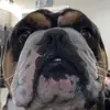 chase collier - @chasecollier02 - TikTok