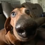 Chase Compton - @chasecompton1 - Instagram
