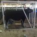 Chase Conner - Facebook