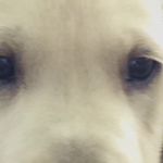 Chase Conrad - @froot_lop - Instagram