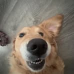 Chase Cooke - Facebook