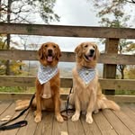 Chase & Cooper - @chaseandcoop - Instagram