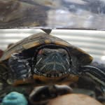 chase copeland - @chasecopeland4 - Instagram