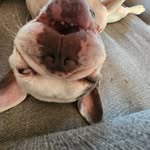 chase copeland - @chasejcopeland - Instagram