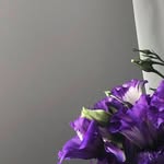 Chase Copeland - @chasecopeland26 - Instagram