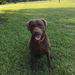 Chase Corbett - Facebook