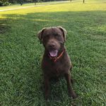 Chase Corbett - @chase.corbett.1 - Instagram