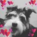 Chase Corder - Facebook