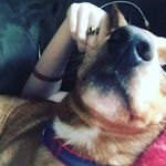 Chase Cornelius Sutley - @chaseypoo2 - Instagram