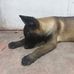 Chasen Luisse Cortes - Facebook