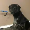 chase.cote - @chase.cote - TikTok