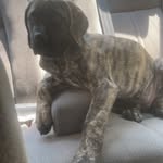 Chase allen cothran - @chaseallencothran - Instagram