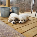Chase Covey - Facebook