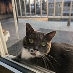 Chase Currie - @chaser202202 - Instagram