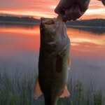 Chase Dodson - @chasedodson27 - Instagram