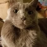 Cindie Hilsenbeck - @chase.elmore - Instagram