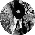 Chase Fields - Facebook