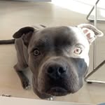 Señor Chase Fitzpatrick - @senyor_chase - Instagram