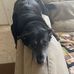 Chase Fleming - Facebook