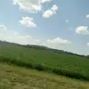 Chase Foster - @chase.foster59 - TikTok