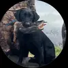 Chase Foster - @chase.foster550 - TikTok