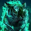 Chase Freeman272 - @chasefreeman272 - TikTok