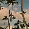 Chase.freeman - @chase.freeman02 - TikTok