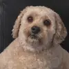 Chase French - @chase.french3 - TikTok