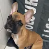 French.Chase - @french.chase - TikTok