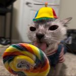Chase Hacker - @hankhowitzer - Instagram