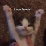Chase Hafner - @chase.hafner.16 - Instagram