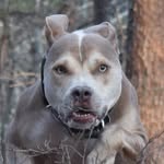 Chase  Hagerman - @momo_monster215 - Instagram