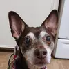Chase Hamby - @chase.hamby - TikTok