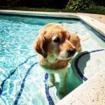 Chase Hamilton - @chase_hamilton_ - Instagram