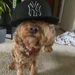 Chase Hampton - @chasehampton10 - Instagram