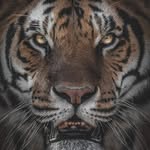 Chase Hancock - @chase.hancock.7 - Instagram