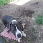 chase hancock - @hancocktim12256 - Instagram