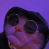 Chase Herbert - @_jayz.jayz - TikTok