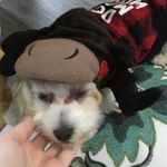 Cheezy_pizza - @chaseelihickey - Instagram