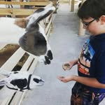 chase hobbs - @chasehobbs2 - Instagram