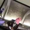 Chase_hoffman23 - @chase_hoffman231 - TikTok
