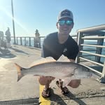 Chase Hoffman - @chase_hoffman11 - Instagram