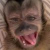 C - @chase._.hoffmann - TikTok