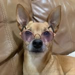Chase Hoffmann - @kw_chaseh - Instagram