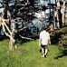 Chase Kane - Facebook
