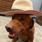Chase Key - Facebook