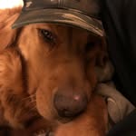Chase Landrum - @landrum_chase - Instagram