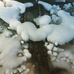 chase Leblanc - @beatbox_god19 - Instagram