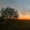 Chase Lee - @chase.lee._ - TikTok