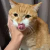 ChaseLee - @chaseleegodbless - TikTok